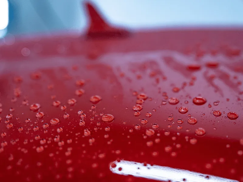 施工後の塗装表面。水滴が丸く弾かれている様子